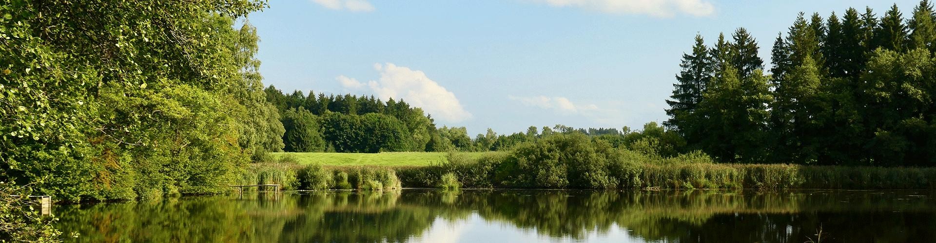 Holzmühleweiher Vogt (c) Carmen Rieger Blick auf einen See mit gegenüberliegendem Ufer, sommerliche Stimmung.
