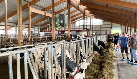 Blick in einen Kuhlstahl mit Menschen die sich unterhalten