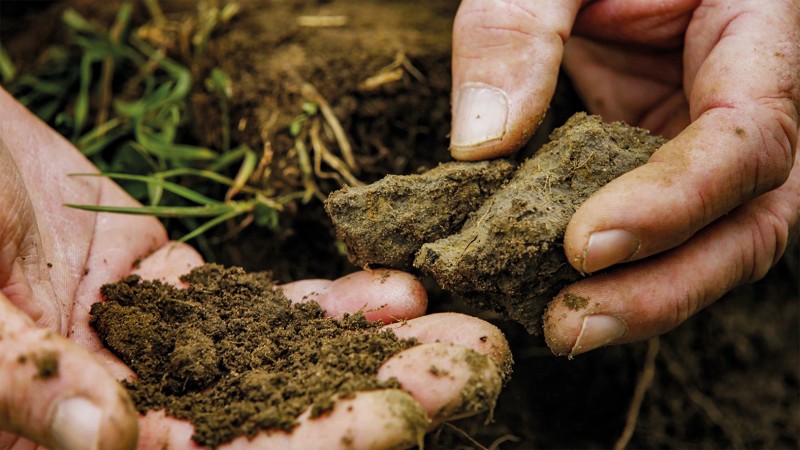 Unser Boden - unser Erbe Das Bild zeigt zwei menschliche Hände, die in einer Art Nahaufnahme Erdstücke, teils zerbröselt, teils in ganzen Brocken halten.