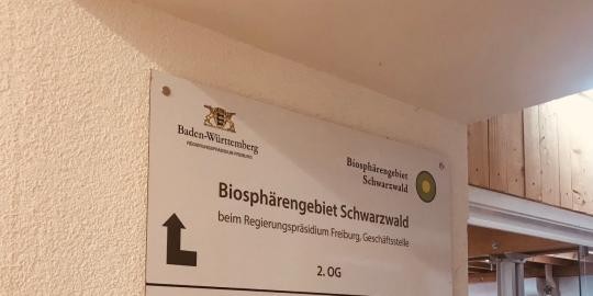 Schiöld BSG SW_Bildrechte Prozessteam_Polak