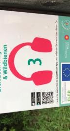 BSR-Tour Audioguide_Bildrechte_Prozessteam_Polak