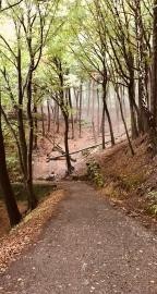 Kernzonenwanderung Bliesgau_Bildrechte Prozessteam_Polak