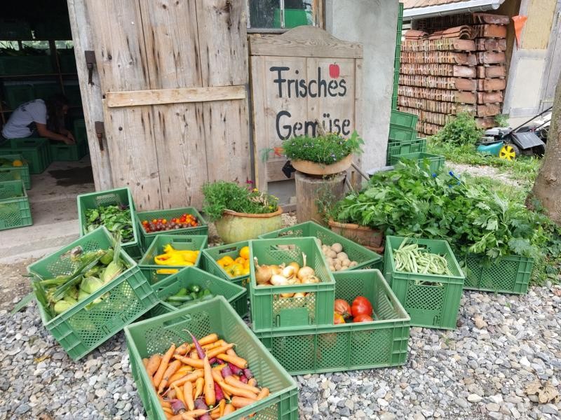  Zu sehen sind hübsch angerichtete Gemüsekisten mit diversen Sorten wie Karotten, Tomaten, Bohnen, Paprika etc. Alles in ländlicher Umgebung, vor einer Scheune.