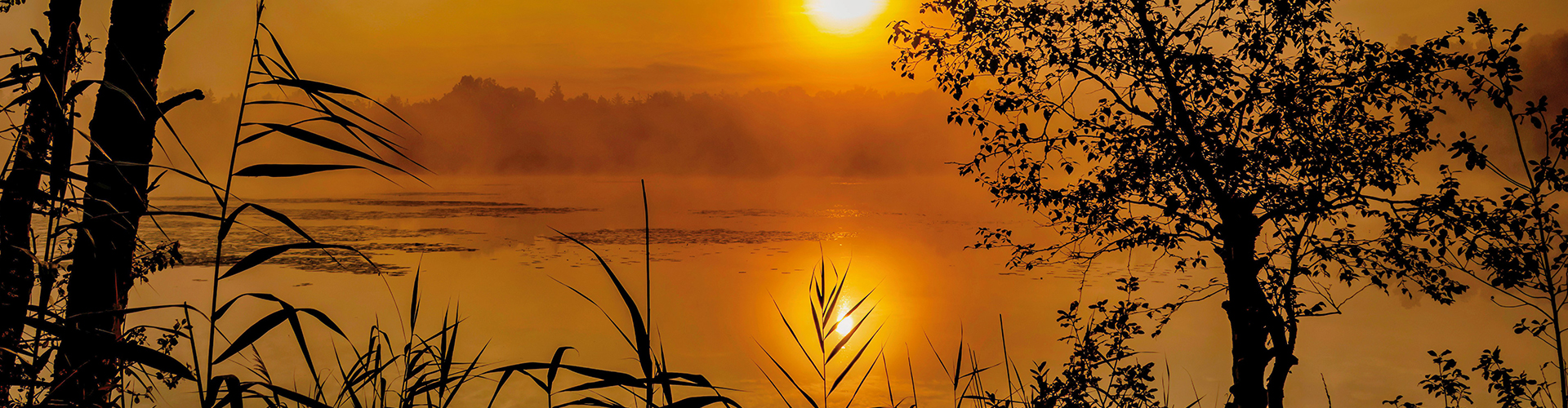 Blick vom Ufer eines Gewässers aus auf einen Sonnenaufgang. Alles ist farblich in orange getaucht.